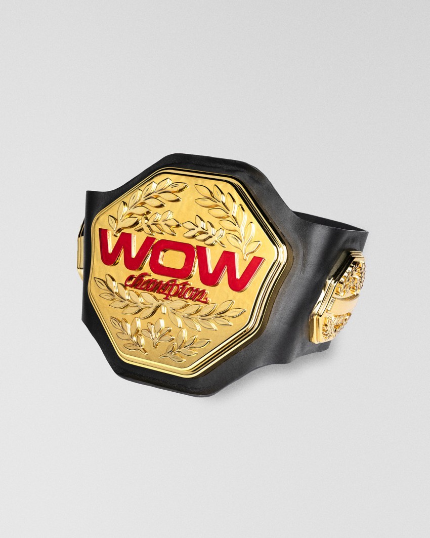 Custom-made MMA trophy for WOW, 2025. MMA championship belt trophy